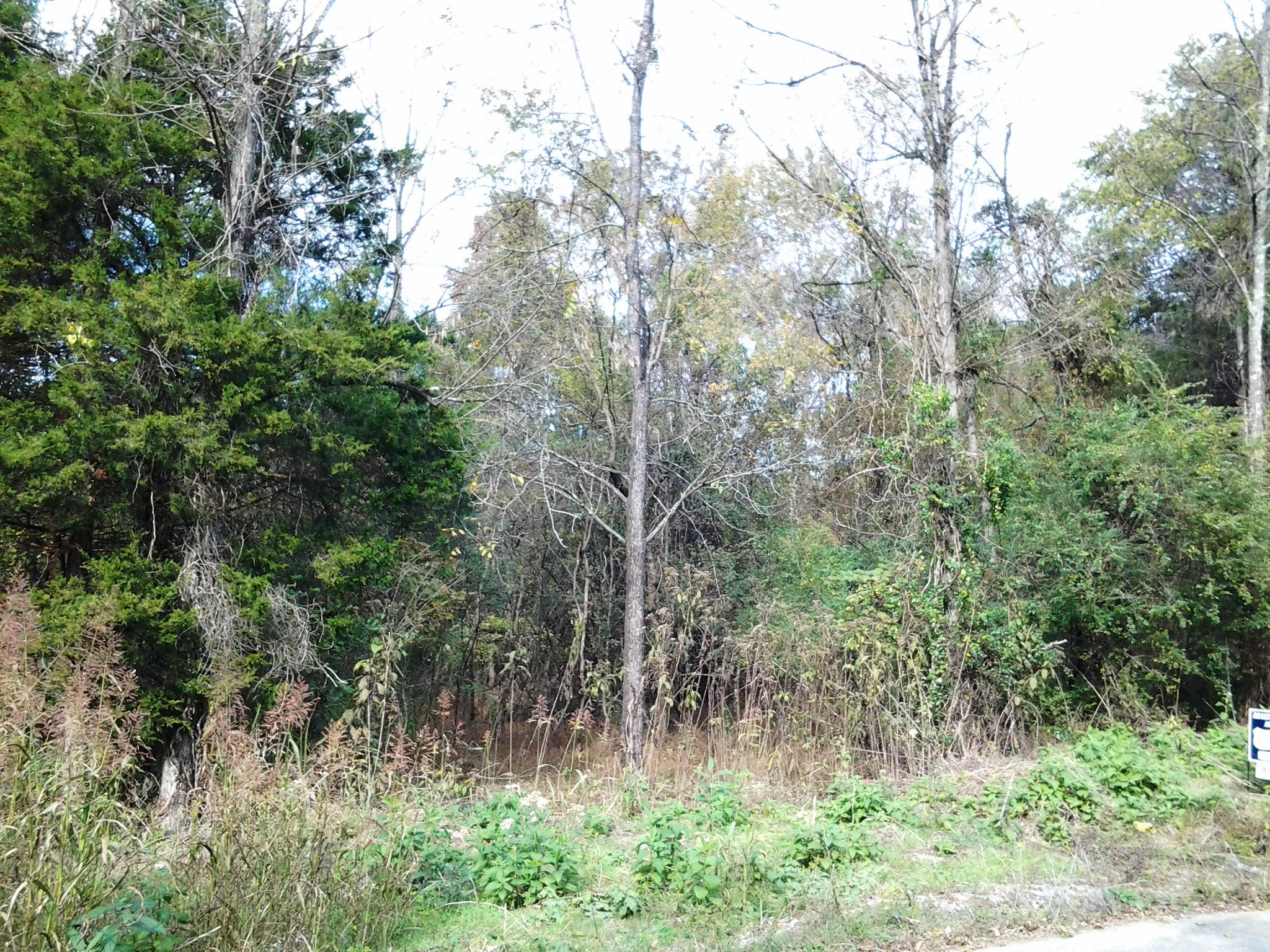 Fox Creek Road Friendsville, TN 37737 - Photo 7 of 8 Right view of property