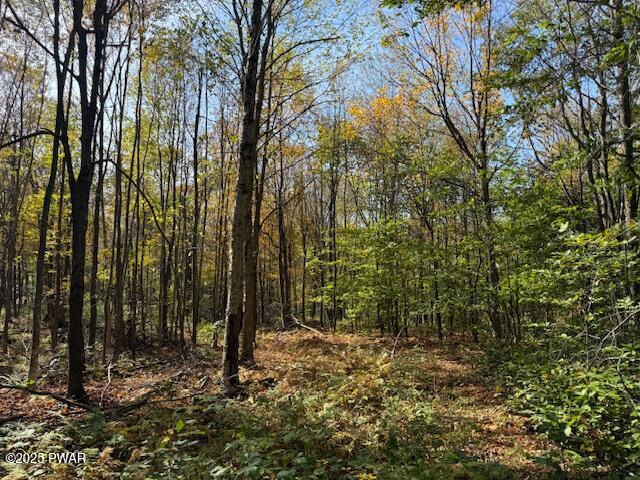 Fairmont Road Road Starrucca, PA 18462 - Photo 12 of 18