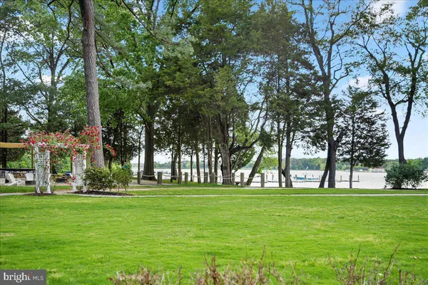 a view of a park with tree s