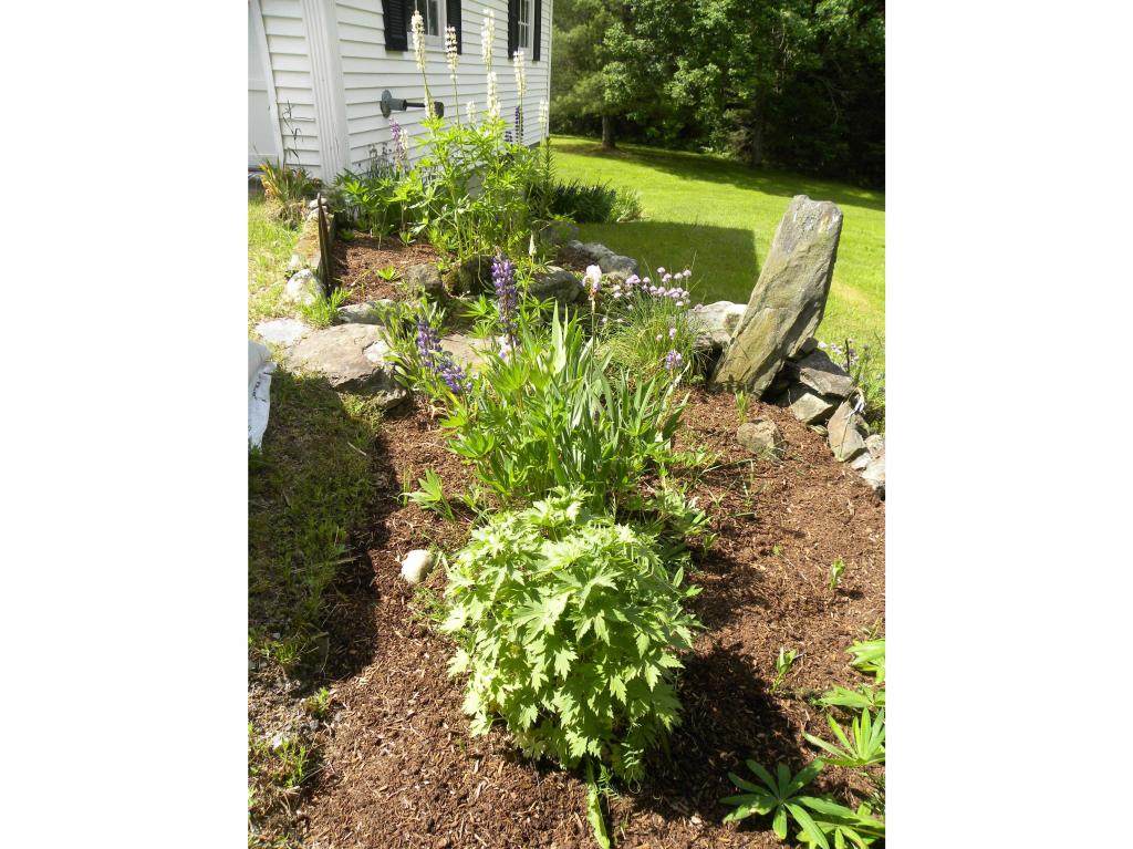 407 Sheffield Road Sutton, VT 05867 - Photo 5 of 24 Gallery Image 5