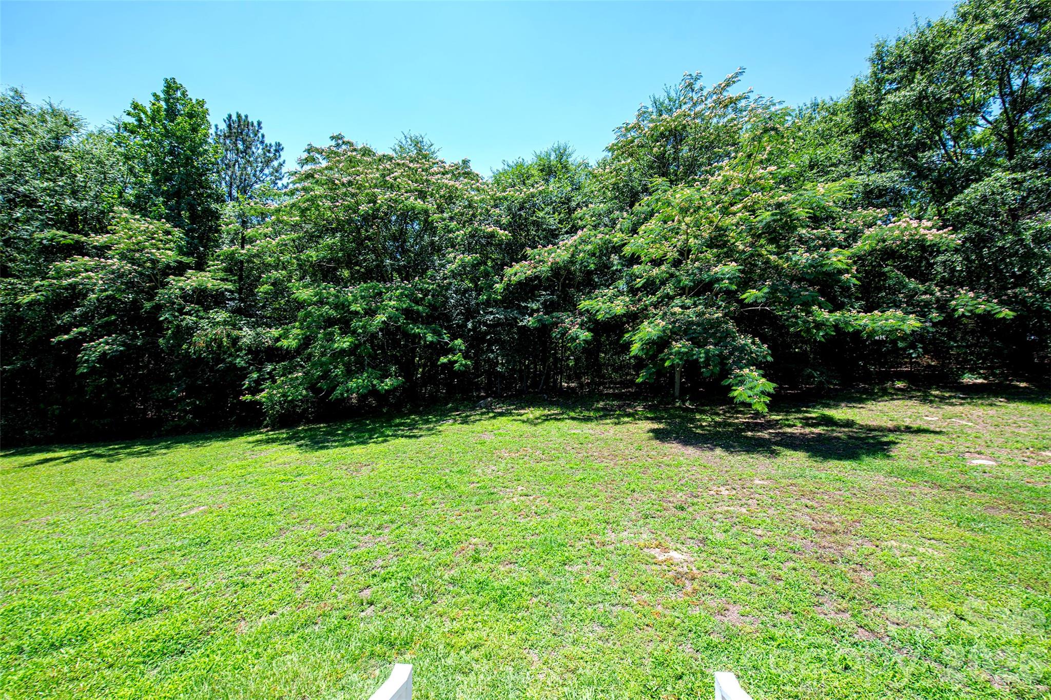 2221 New Hope Church Road Chester, SC 29706 - Photo 24 of 27