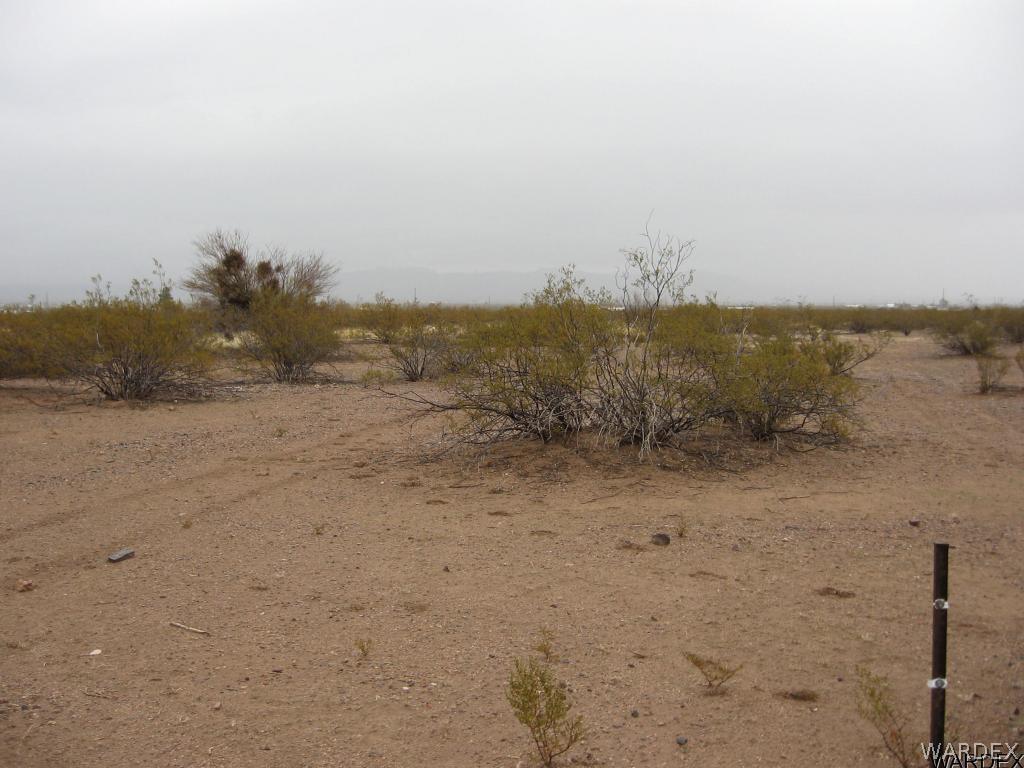Tbd South Cordes Road Golden Valley, AZ 86413 - Photo 3 of 14 stake is center of lot