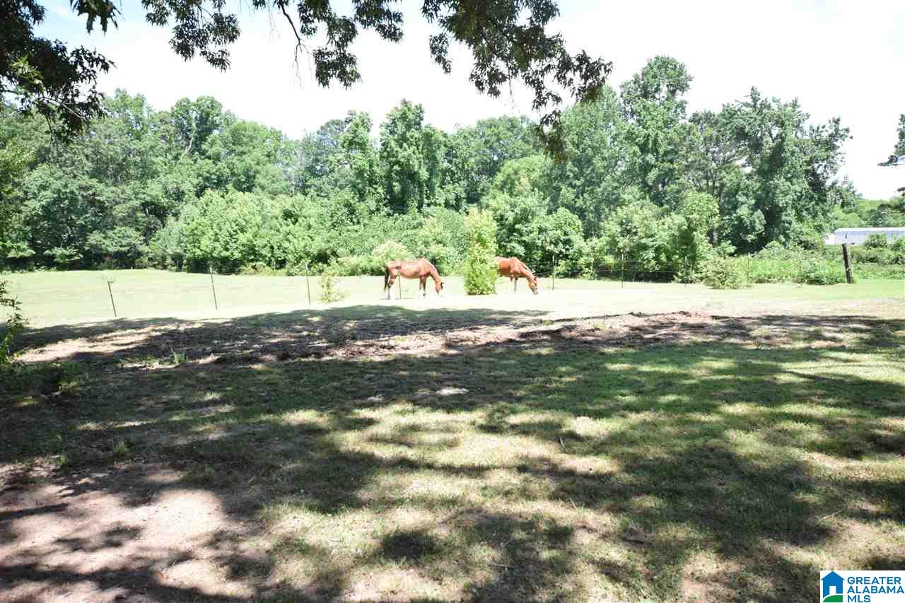 8446 Bagley Road Dora, AL 35062 - Photo 5 of 29