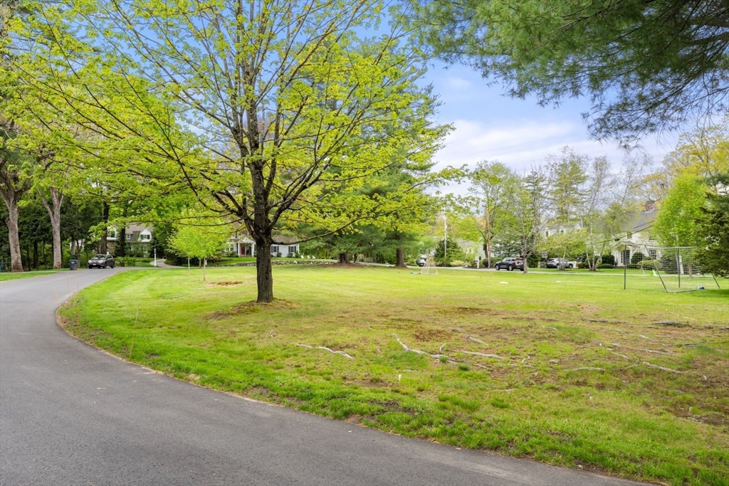 41 Longmeadow Road Wellesley, MA 02482 - Photo 40 of 41 a view of yard with green space
