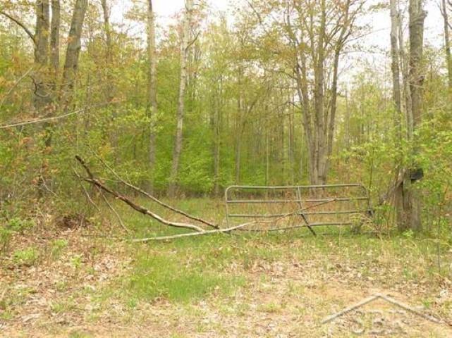 18405 Ithaca Road St. Charles, MI 48655 - Photo 3 of 8