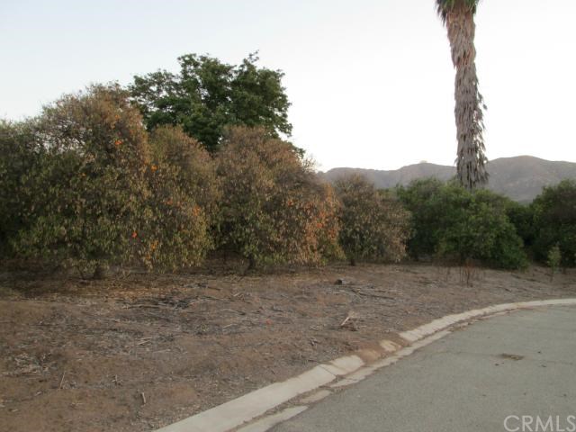 a view of a dry yard with trees