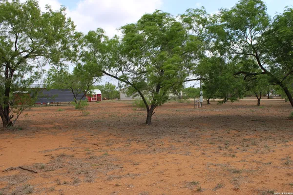 a view of dirt yard with a large tree