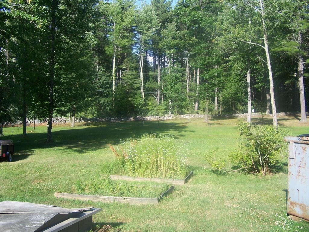 382 Briggs Road Mason, NH 03048 - Photo 4 of 34