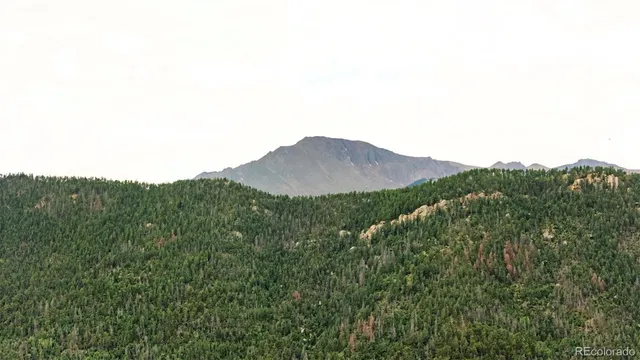 a view of a mountain in the distance in a field