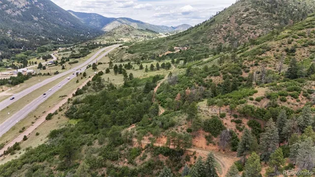 a view of a yard with a lush green forest