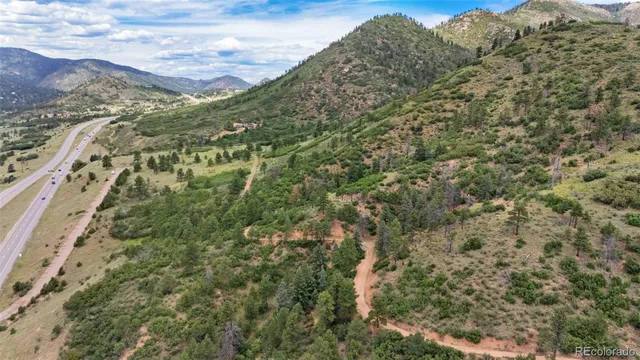 a view of a forest with an outdoor space