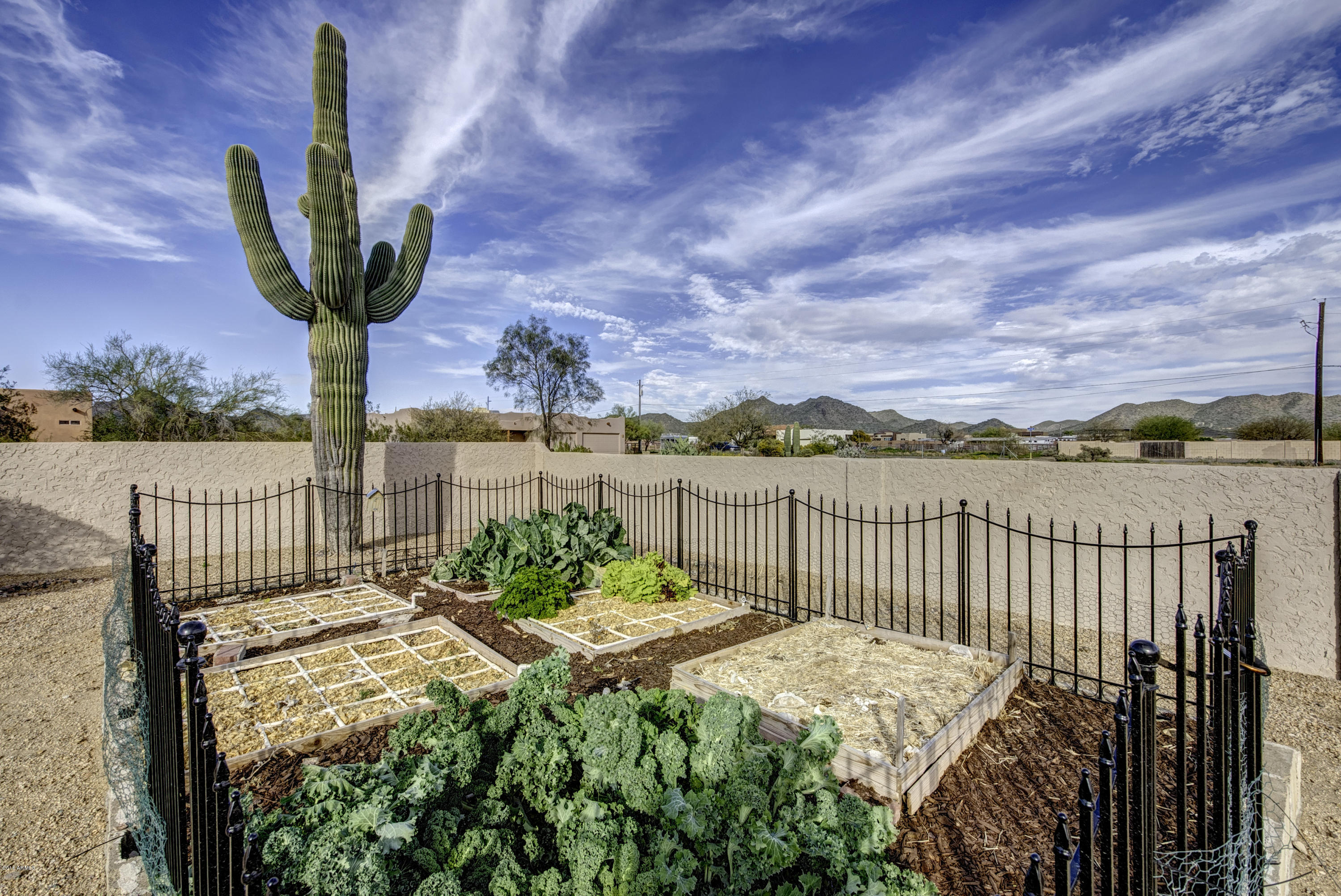 2132 East Maddock Road Phoenix, AZ 85086 - Photo 24 of 30 ForagentMaddock00024