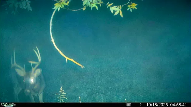 $350,000 | 54982 Smith Road, Utica, WI 54628