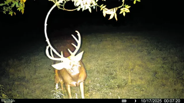 $350,000 | 54982 Smith Road, Utica, WI 54628