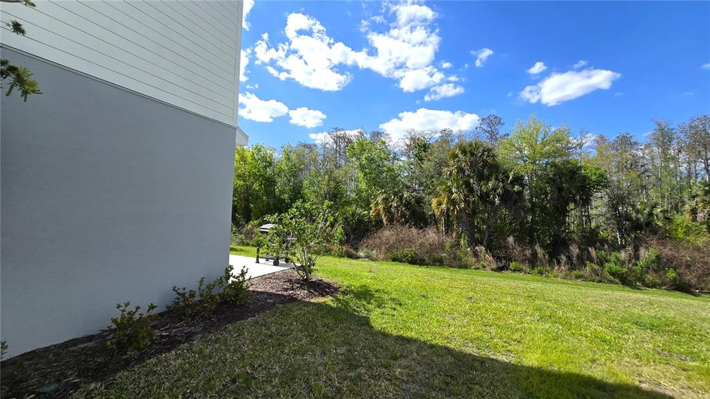 3575 Mayfair Street Kissimmee, FL 34758 - Photo 23 of 34 a view of a flower in a yard