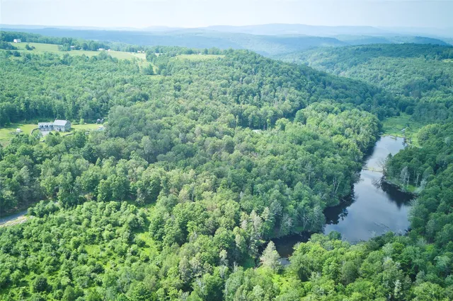 a view of a lush green forest with trees and some houses