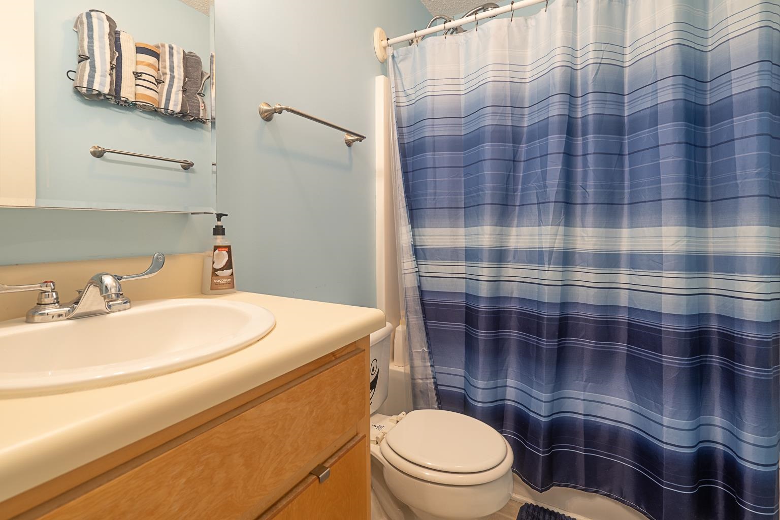 106 Clearwater Road Landrum, SC 29356 - Photo 18 of 25