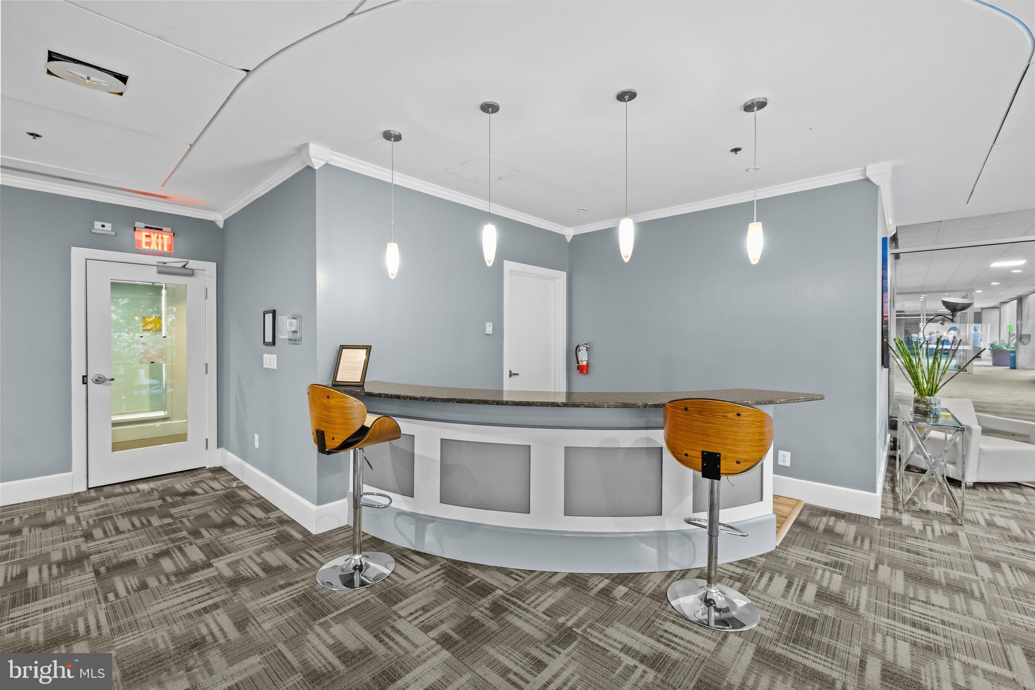 350 G Street Southwest, Unit N614 Washington, DC 20024 - Photo 26 of 35 a living room with furniture a rug and a shower