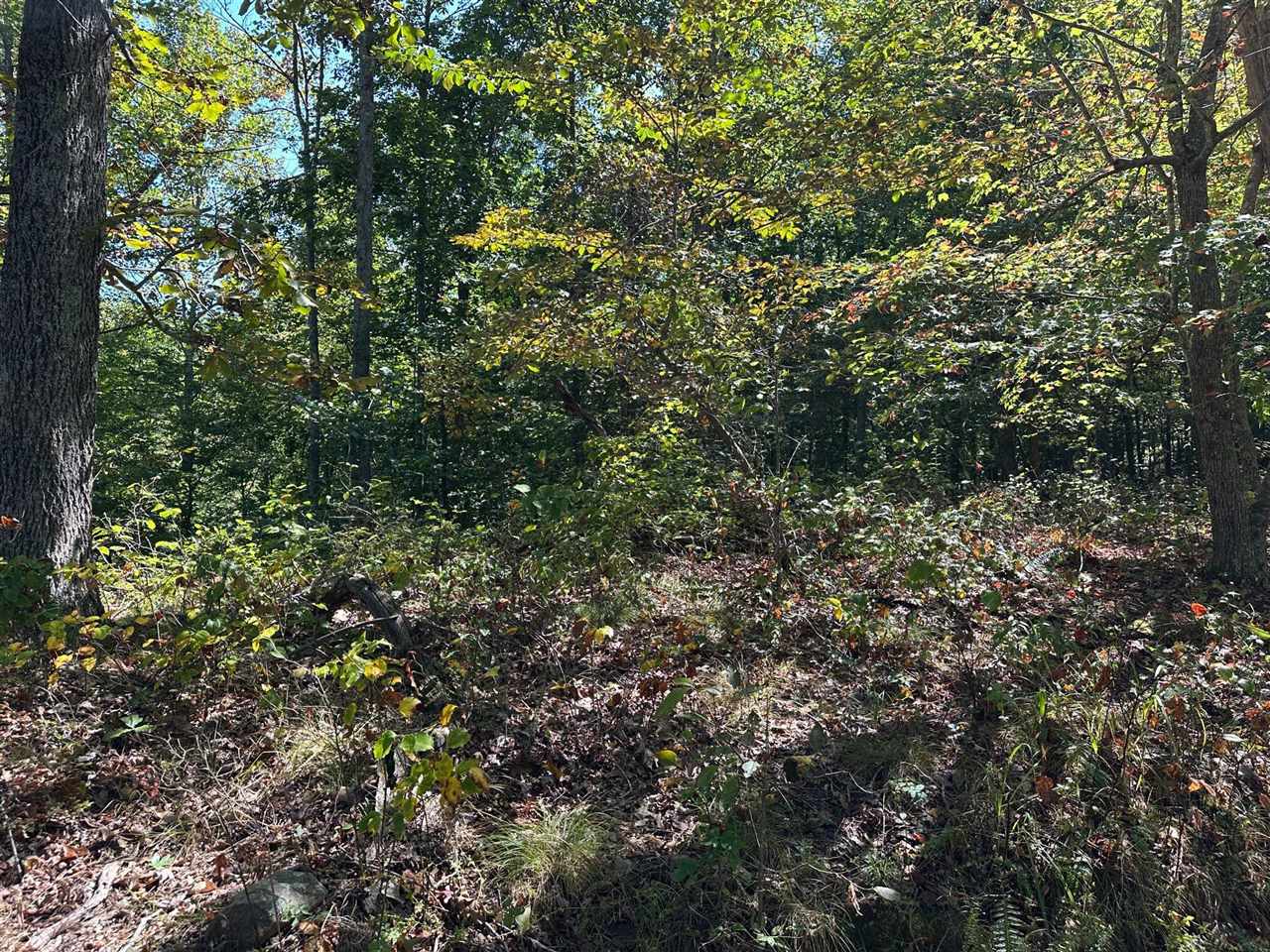 18 A Hall Road Grayson, KY 41143 - Photo 40 of 77 Gallery Image 40