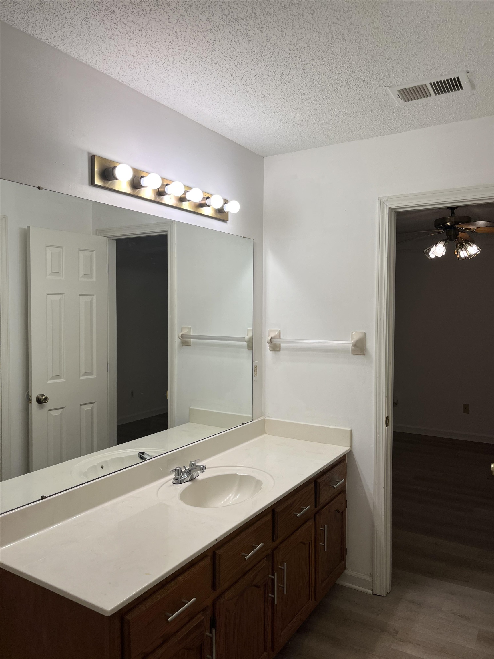 6865 Snyder Road Memphis, TN 38141 - Photo 7 of 10 a bathroom with a sink and a mirror