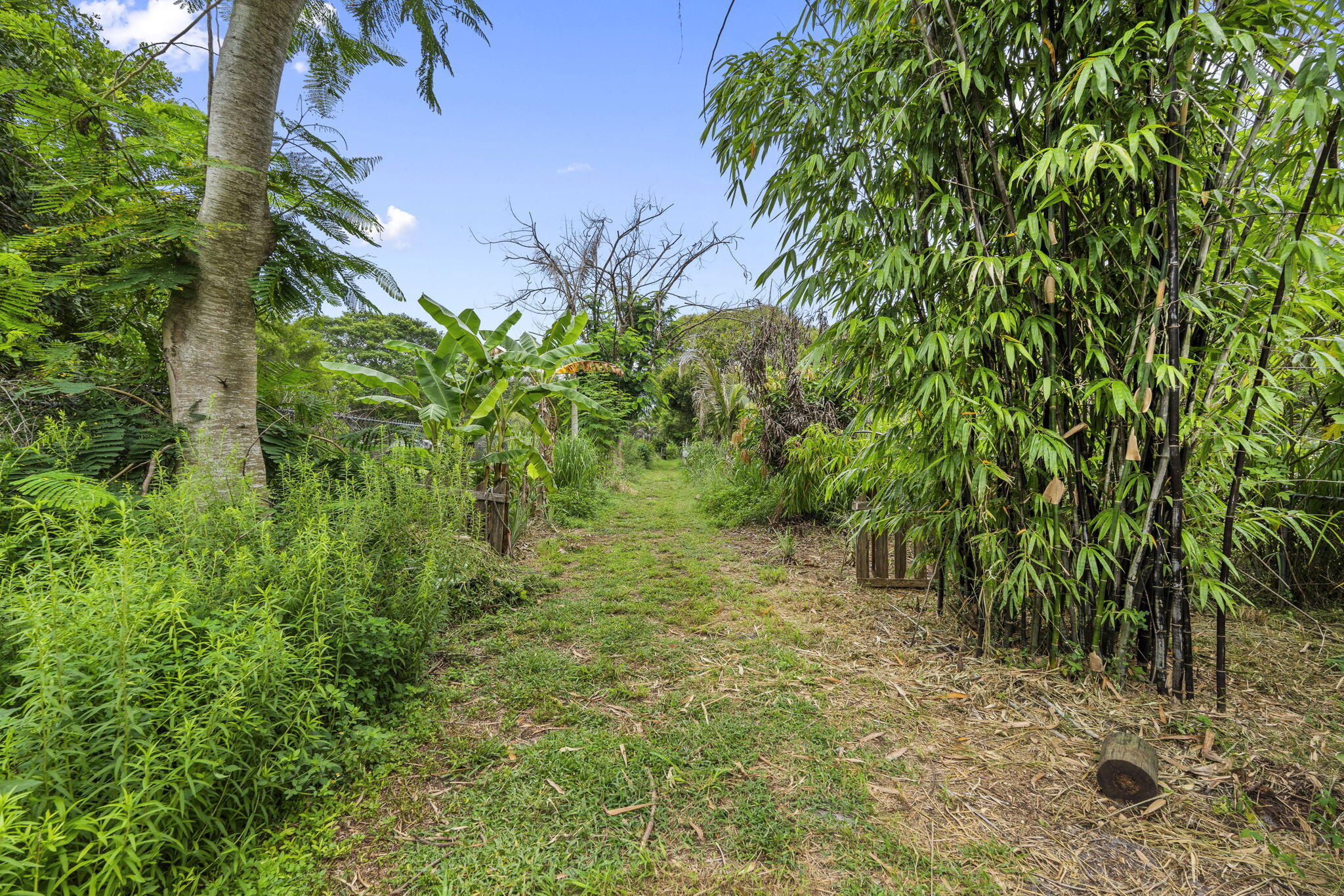 3603 Kirby Loop Road Fort Pierce, FL 34981 - Photo 48 of 61 52-web-or-mls-DSC09448