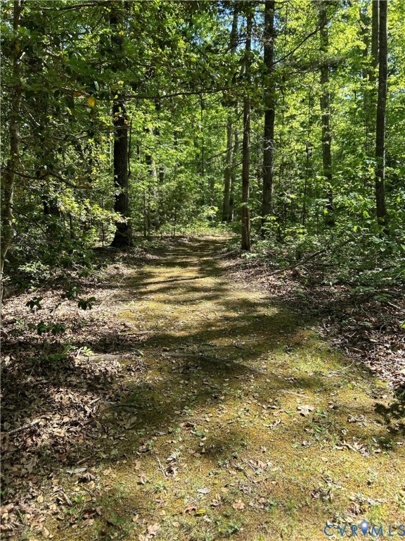 3172 Three Bridge Road Powhatan, VA 23139 - Photo 74 of 79 Gallery Image 74