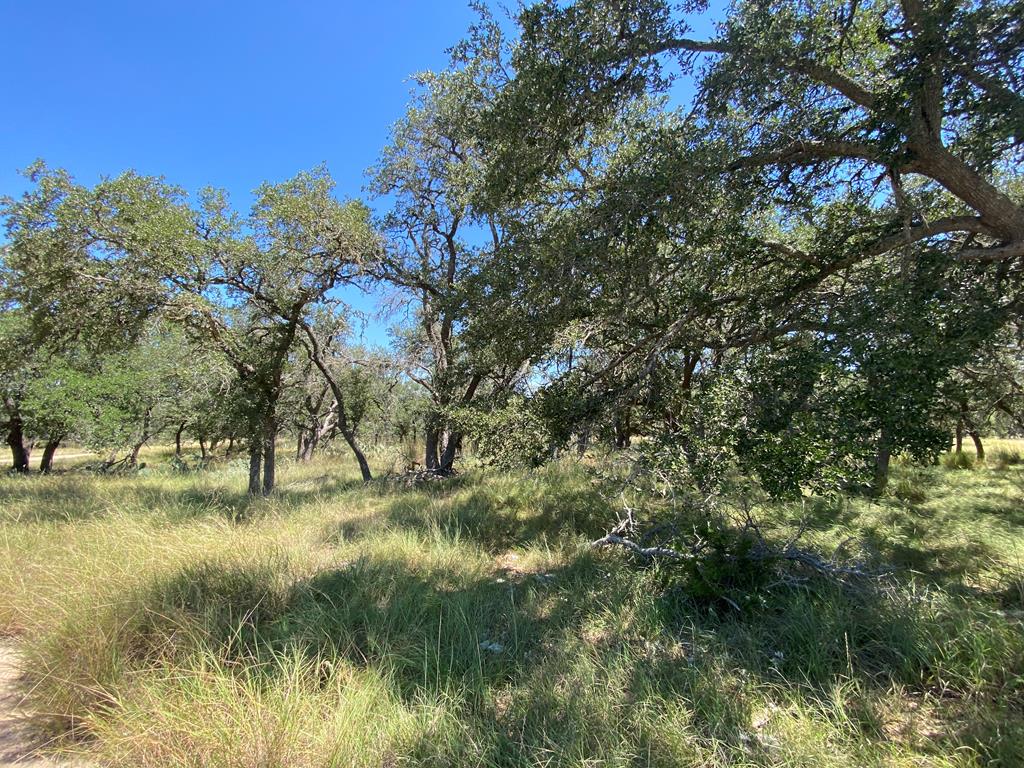 210 Dally Road Comfort, TX 78013 - Photo 77 of 79 Land