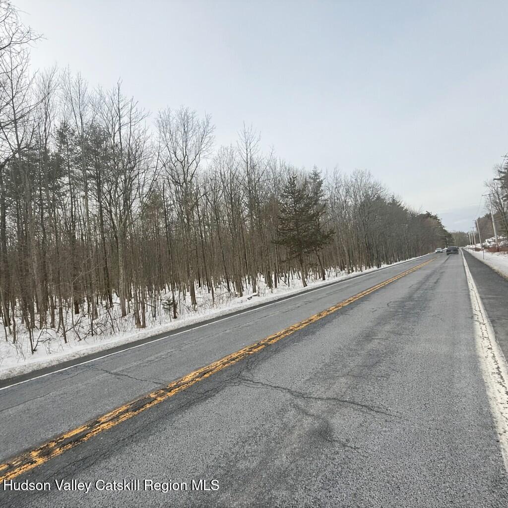 Tbd Silver Spur Road West Cairo, NY 12413 - Photo 2 of 11 a view of a street