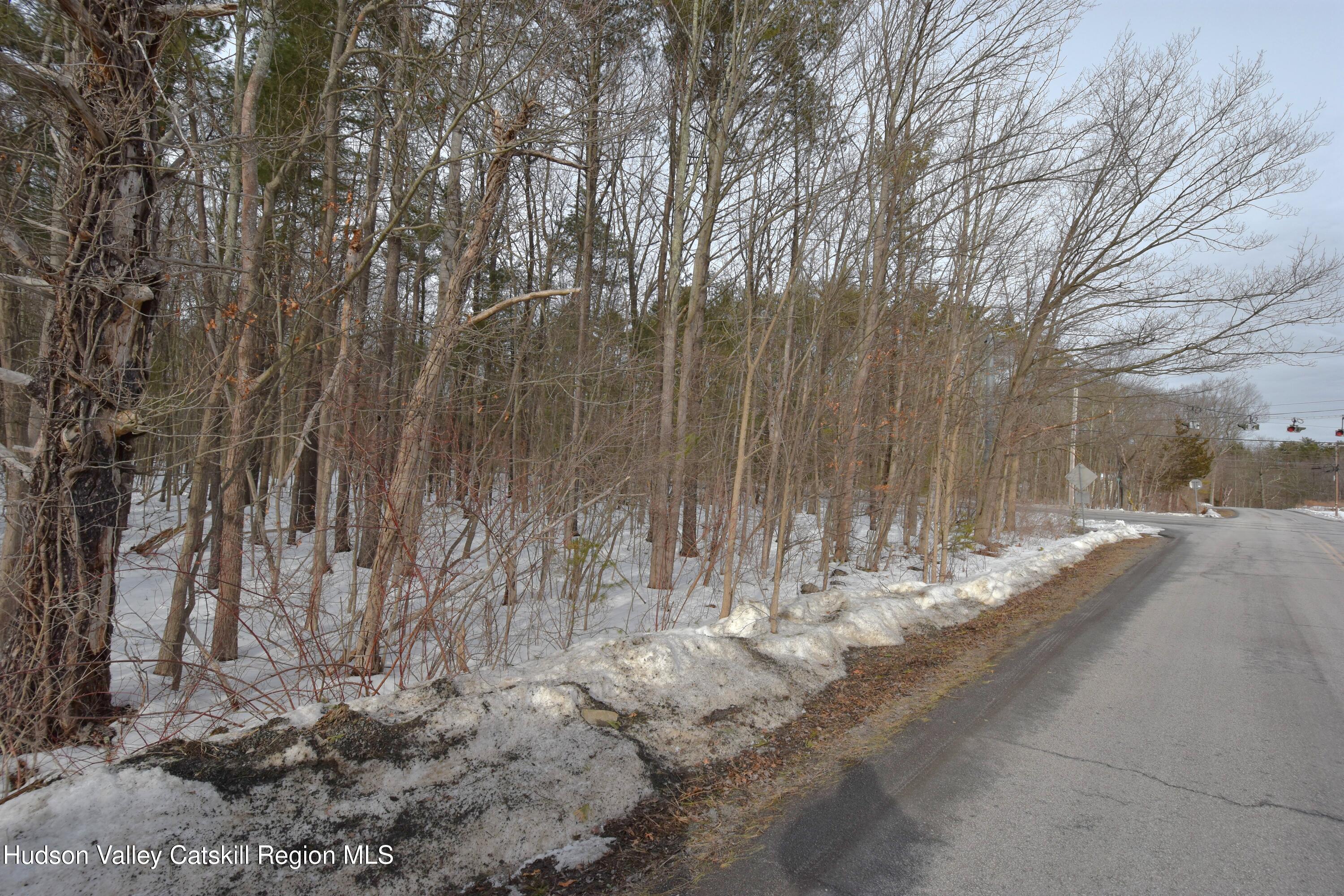 Tbd Silver Spur Road West Cairo, NY 12413 - Photo 3 of 11 a view of a yard with trees