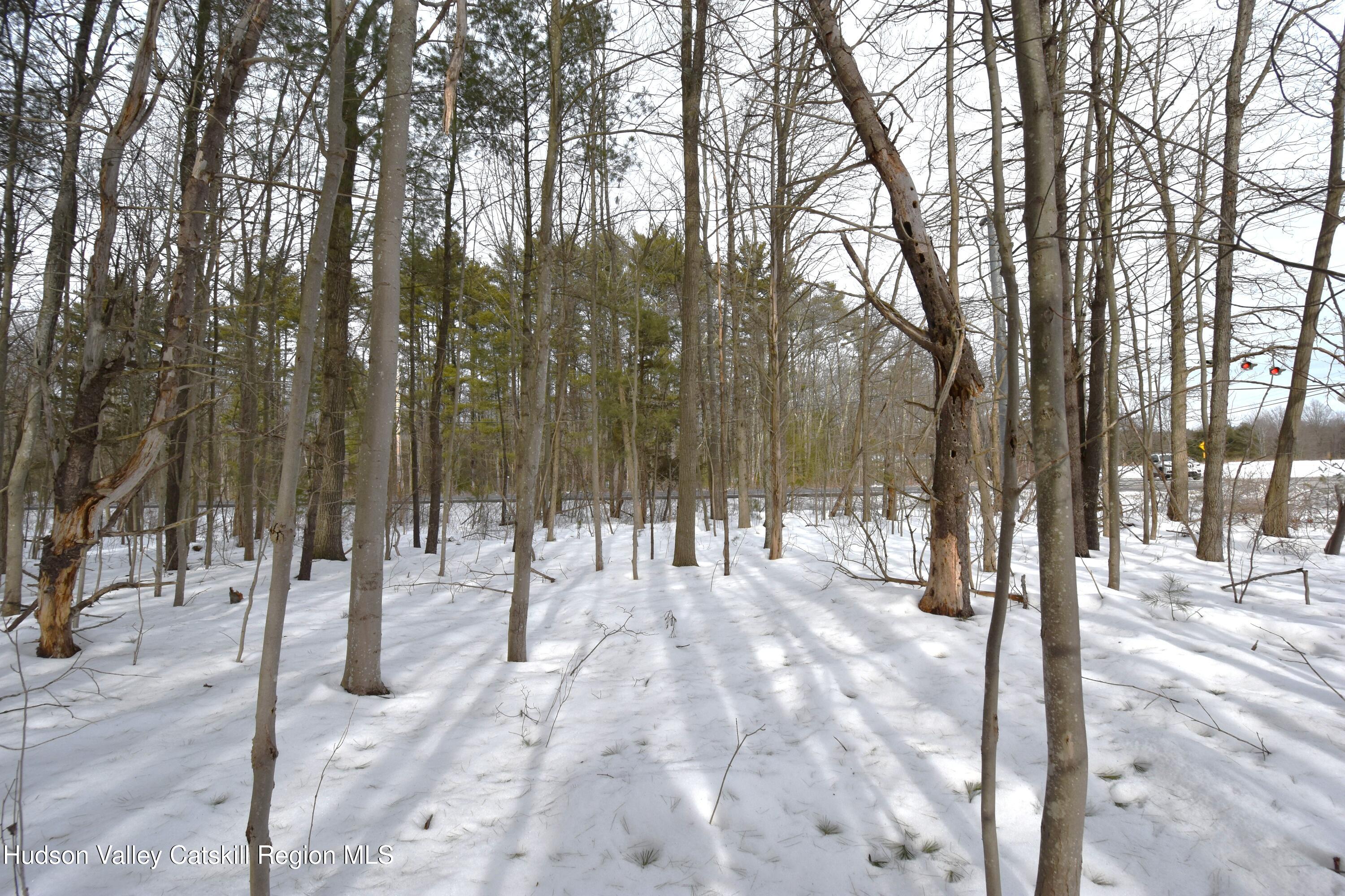 Tbd Silver Spur Road West Cairo, NY 12413 - Photo 5 of 11 a view of outdoor space with trees