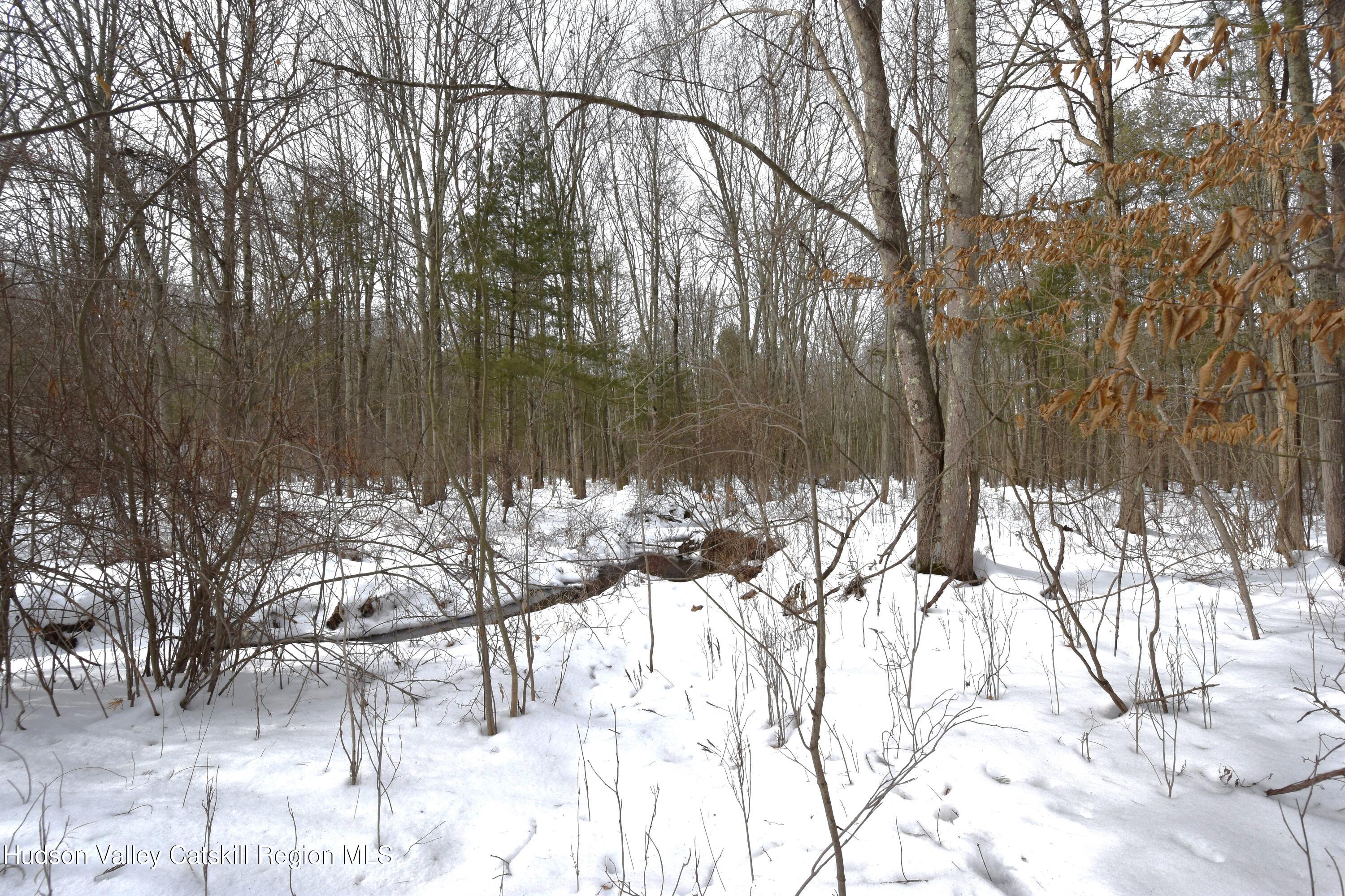 Tbd Silver Spur Road West Cairo, NY 12413 - Photo 7 of 11 a view of lake with a tree
