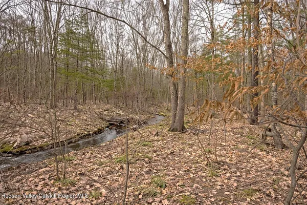 a view of a dry yard with wooden fence