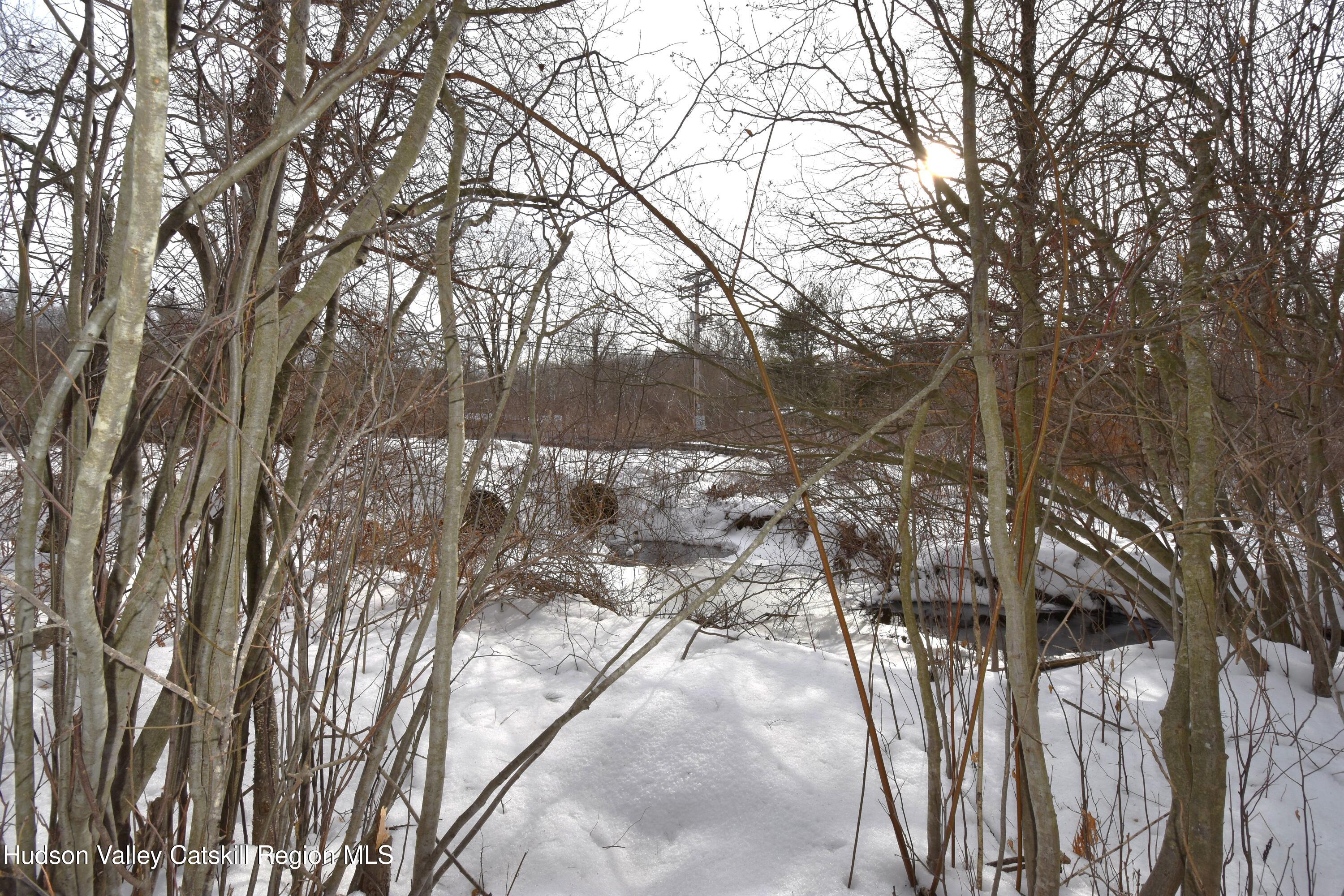 Tbd Silver Spur Road West Cairo, NY 12413 - Photo 8 of 11 a view of a yard with a tree