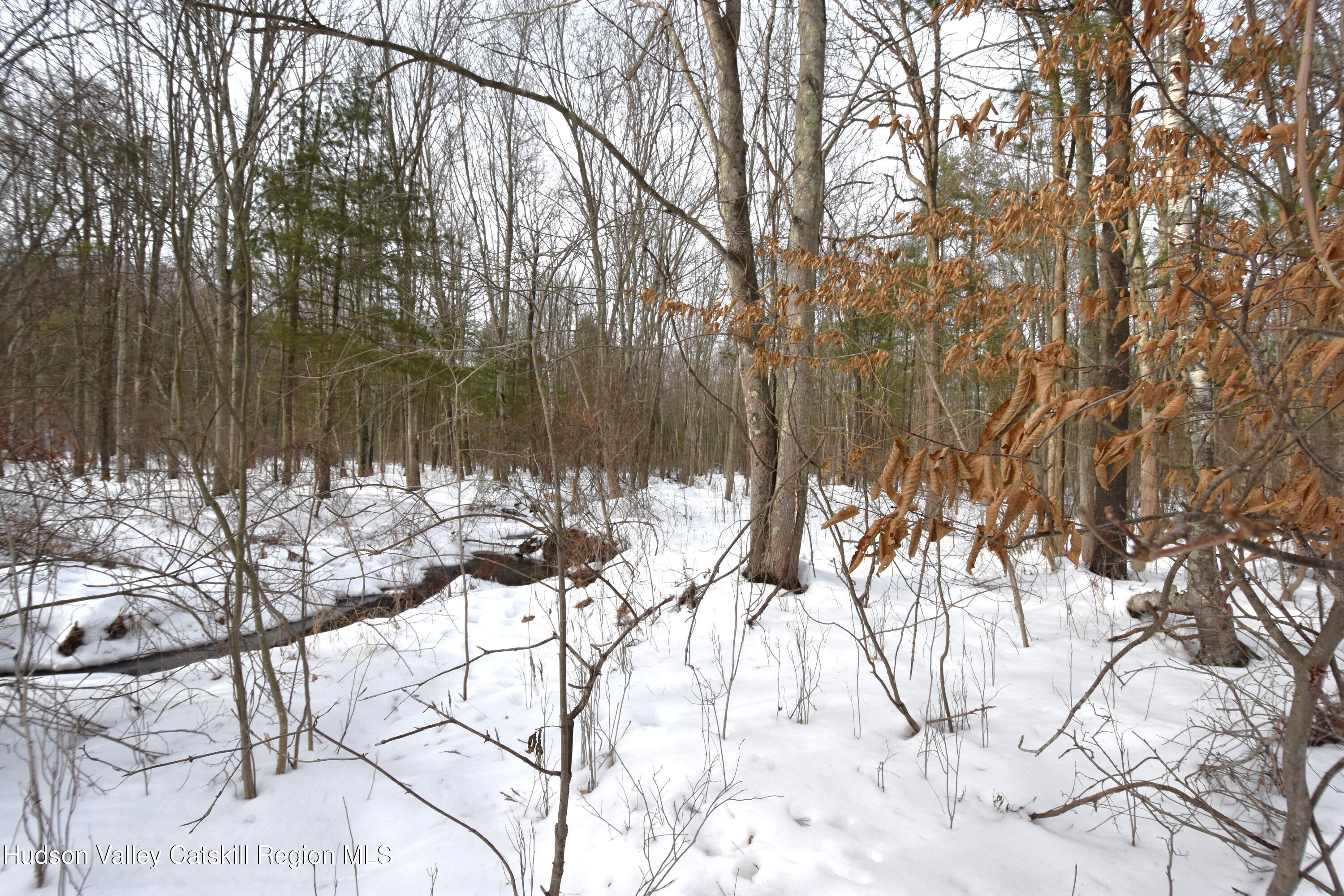 Tbd Silver Spur Road West Cairo, NY 12413 - Photo 9 of 11 a view of white and trees in a yard