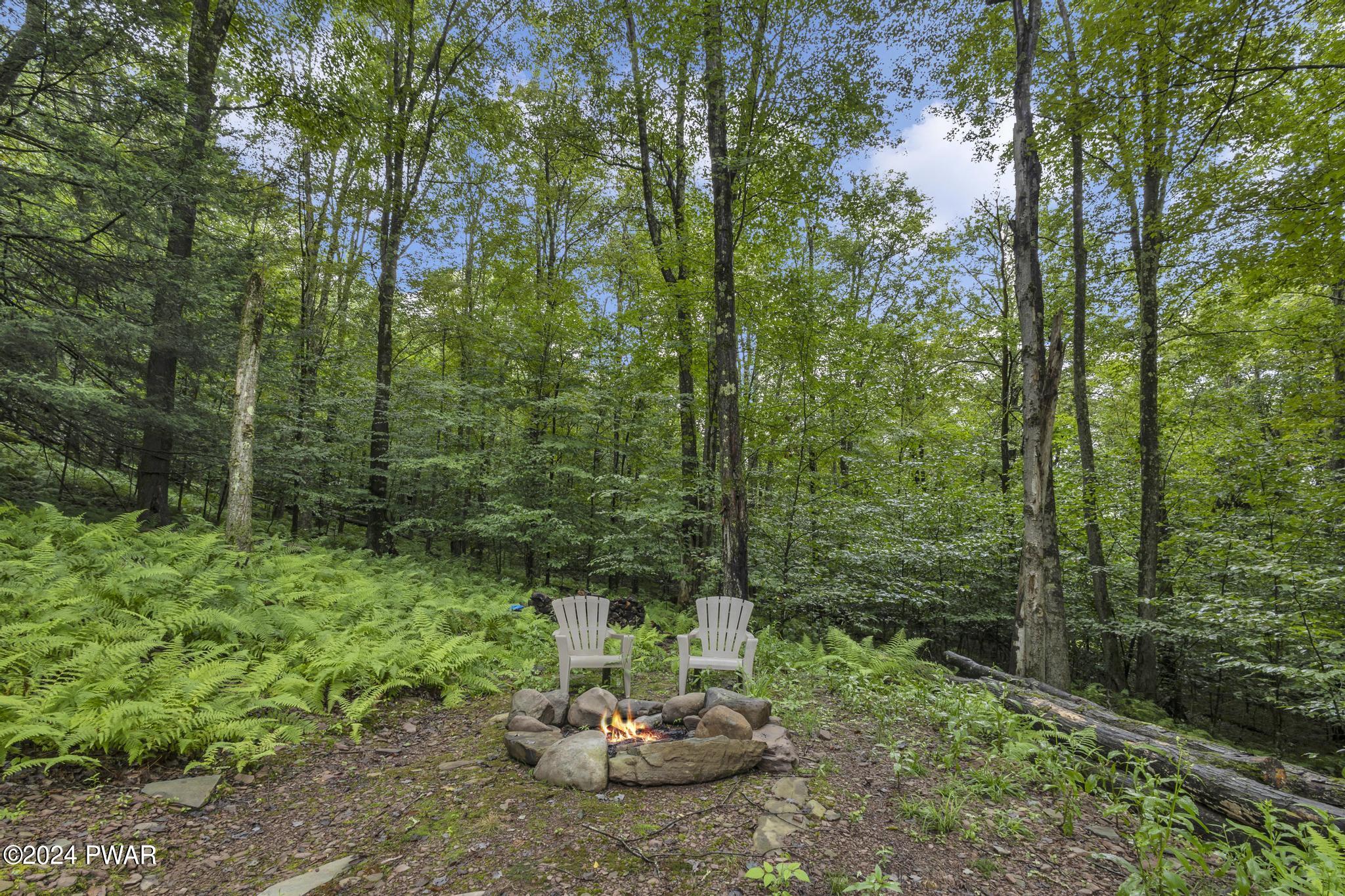 220 Robbs Road Damascus, PA 18415 - Photo 25 of 30 4J3A0632