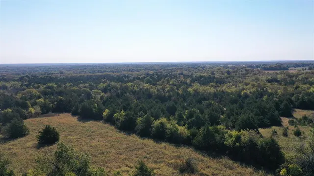 a view of a large yard with lots of green space
