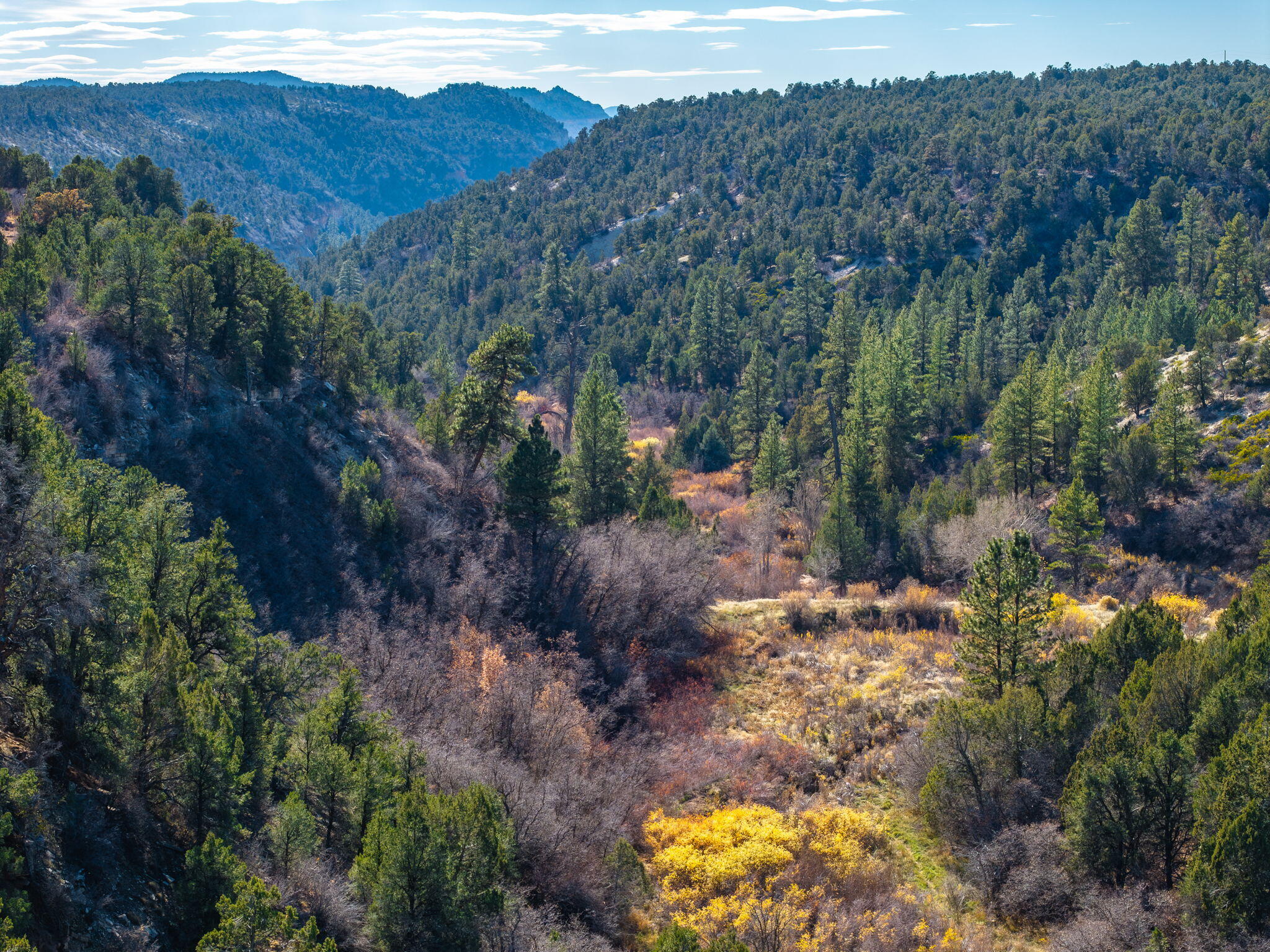 6 South N Frk Road, Unit SERIES 4) Orderville, UT 84758 - Photo 46 of 79 26-web-or-mls- S North Fork Rd. Ordervil