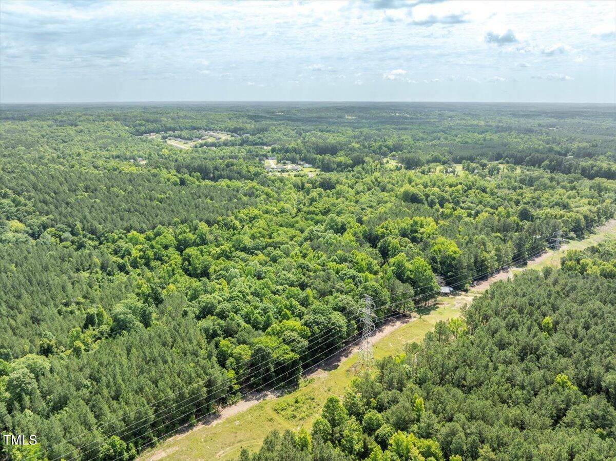 3151 Brogden Road Stem, NC 27581 - Photo 35 of 58 36-DJI_0743