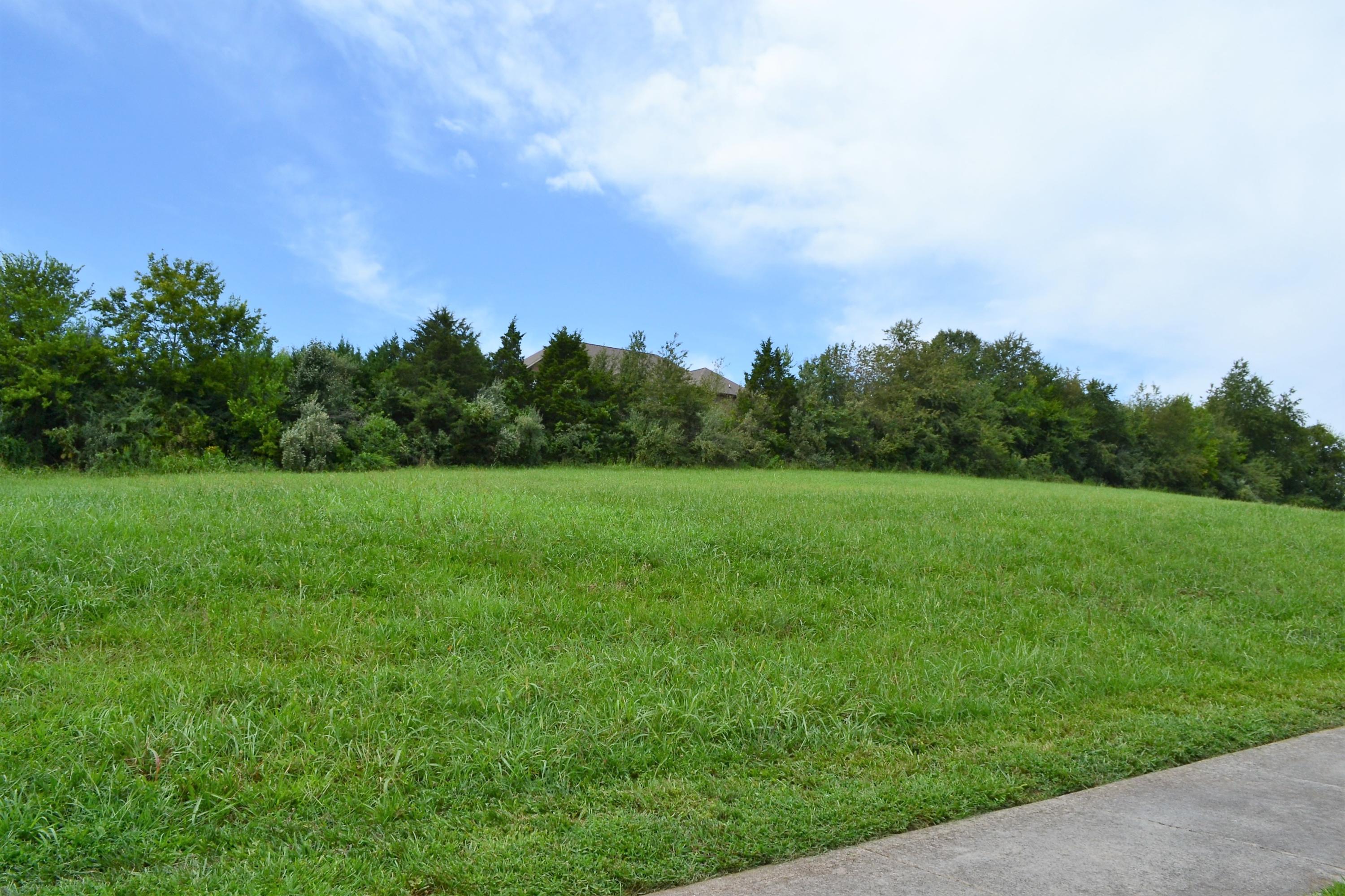 Lot 18 Rippling Waters Circle Sevierville, TN 37876 - Photo 3 of 11 DSC_0017