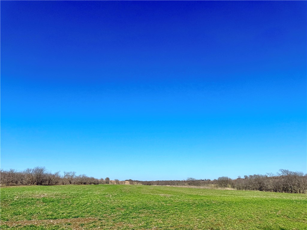 46.5-ac Alexander Road Moody, TX 76557 - Photo 17 of 22
