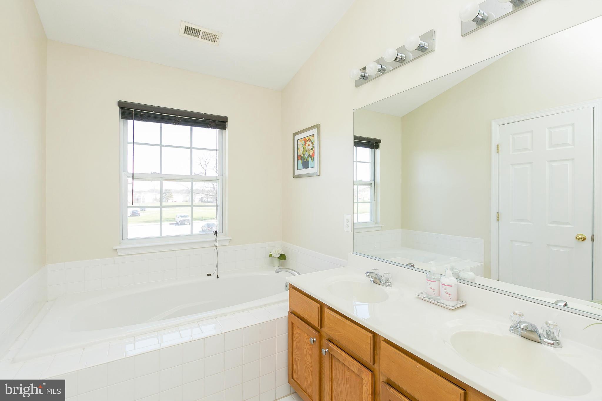 876 Lowe Road Baltimore, MD 21220 - Photo 16 of 28 Bath (Master)
