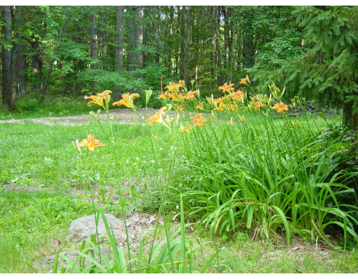24 Saari Camp Road Ashburnham, MA 01430 - Photo 3 of 7 a backyard of a house with lots of green space
