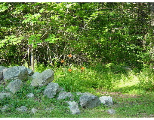24 Saari Camp Road Ashburnham, MA 01430 - Photo 5 of 7 a backyard of a house with lots of green space