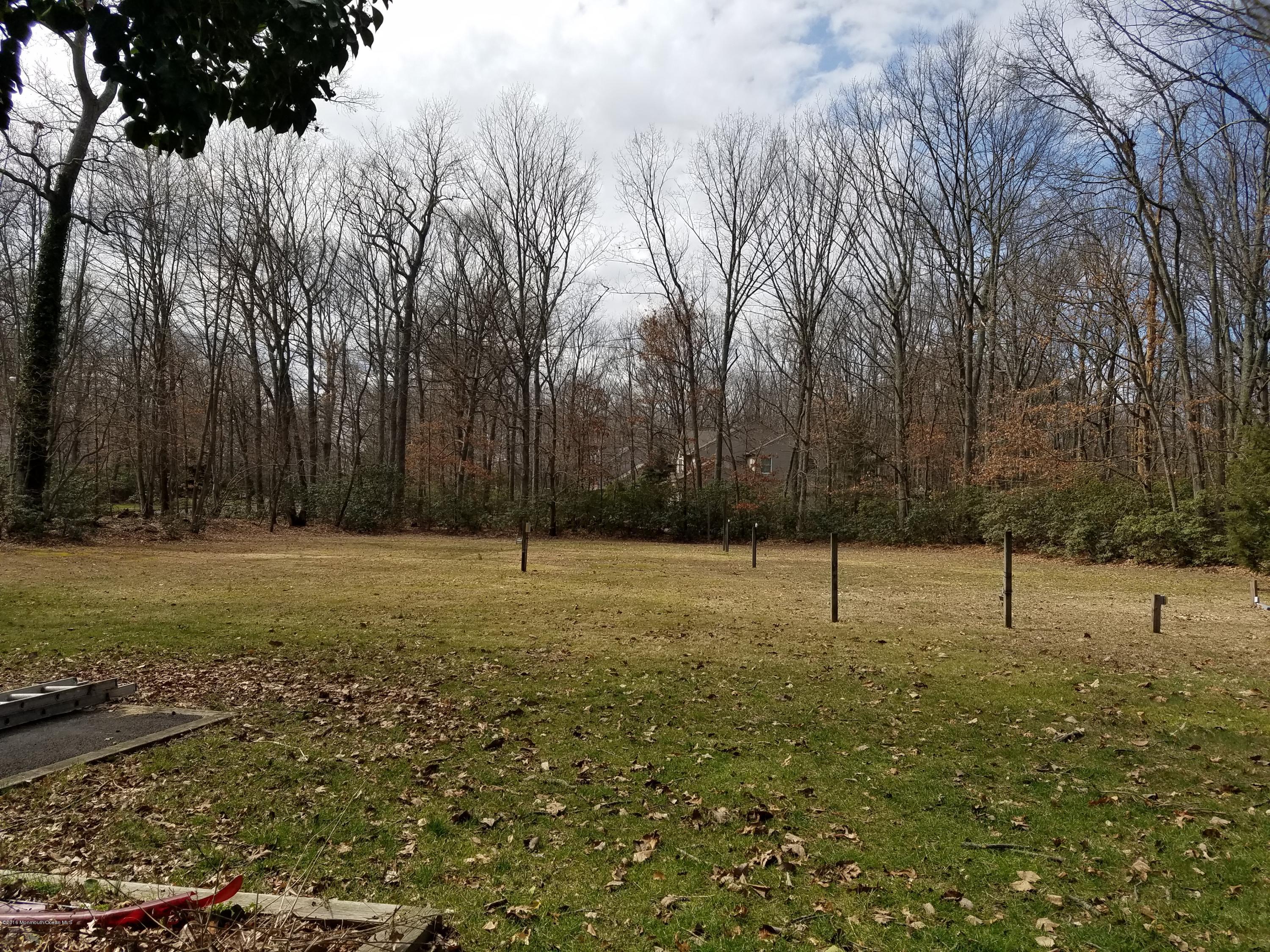 121 Hopkins Road New Egypt, NJ 08533 - Photo 21 of 30 20160312_131052