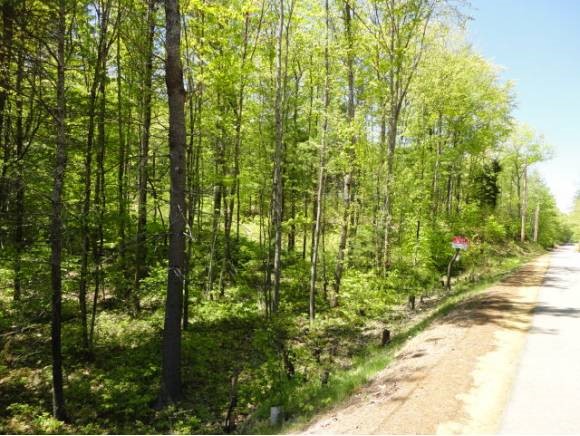 Lot 2 Hurricane Road Belmont, NH 03220 - Photo 1 of 1