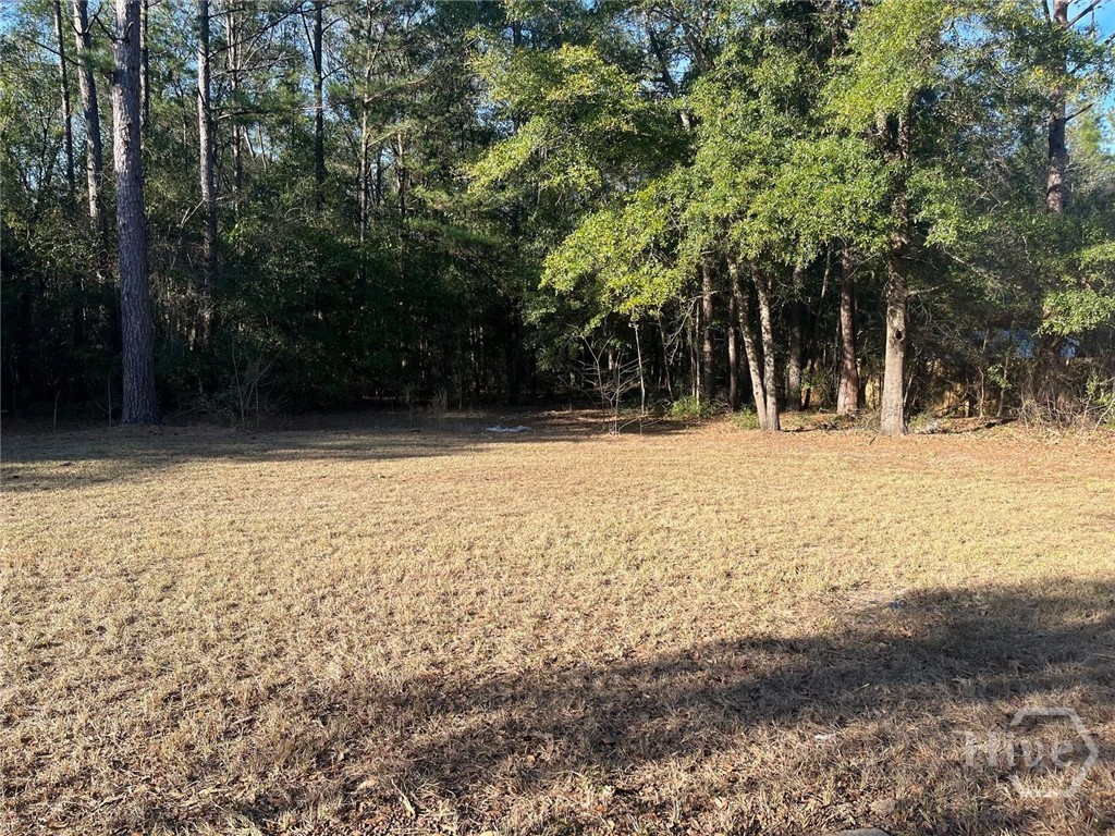 158 High Point Drive Rincon, GA 31326 - Photo 11 of 11