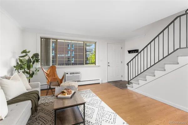 a living room with furniture and a potted plant