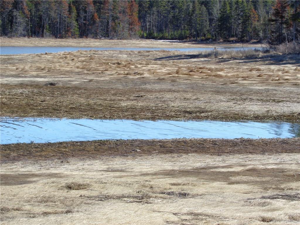 100 Rays Point Road Milbridge, ME 04658 - Photo 8 of 13 Photo