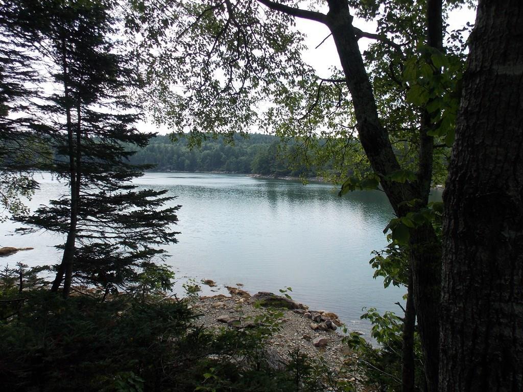143 Falls Bridge Road Blue Hill, ME 04614 - Photo 7 of 12 Photo