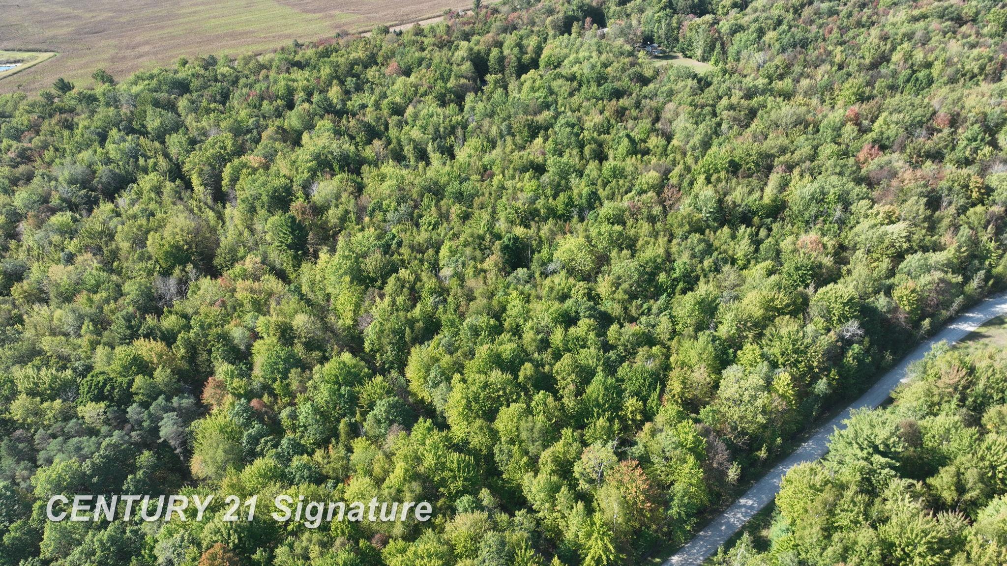 3143 South Homer Road Merrill, MI 48637 - Photo 19 of 43